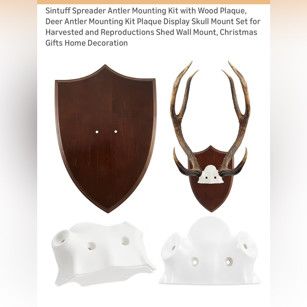 New Antler Mounting